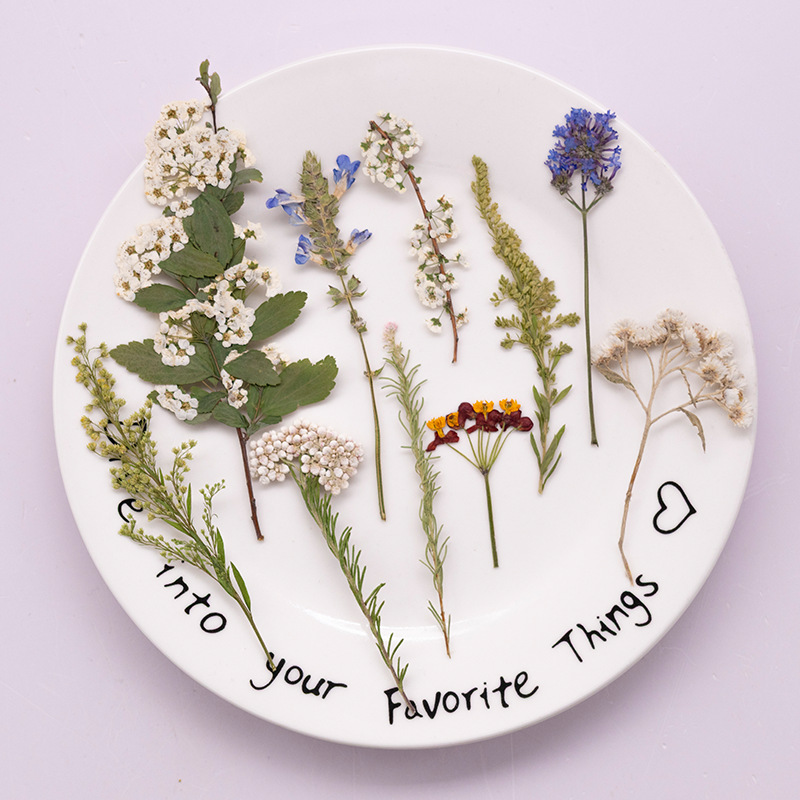 Dried Flower Bookmark - 500 stuks groot pakket geperste varenbloemen,