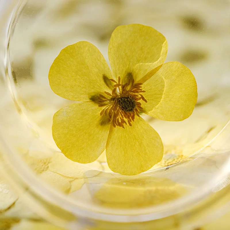 Dried Flower Bookmark - 100 stuks Ranunculus gedroogde bloemen, geperste