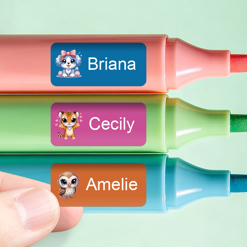Gepersonaliseerde Naamstickers - Personalized Name Box recensie en prijs