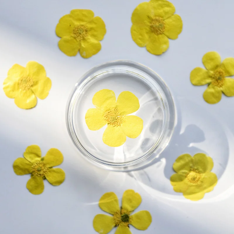 100 stuks Ranunculus gedroogde - Dried Flower Bookmark recensie en prijs